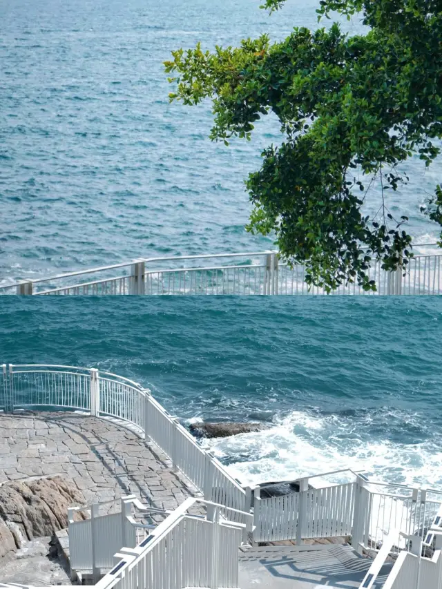 My friends circle has been bombarded with questions, this coastal plank road in Guangdong is amazing