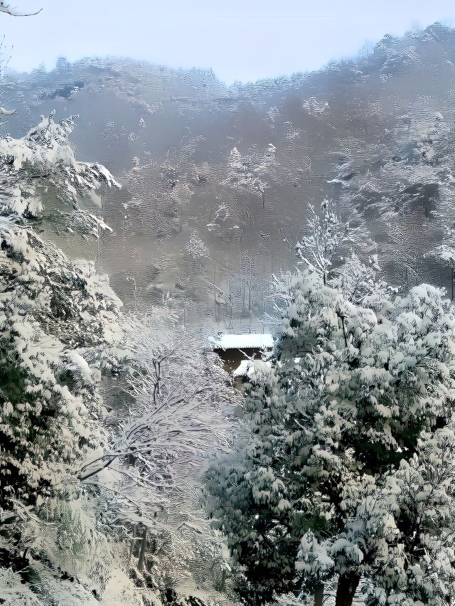 紹興·新昌｜賞雪景、泡溫泉，這家冬季必睡的民宿請查收