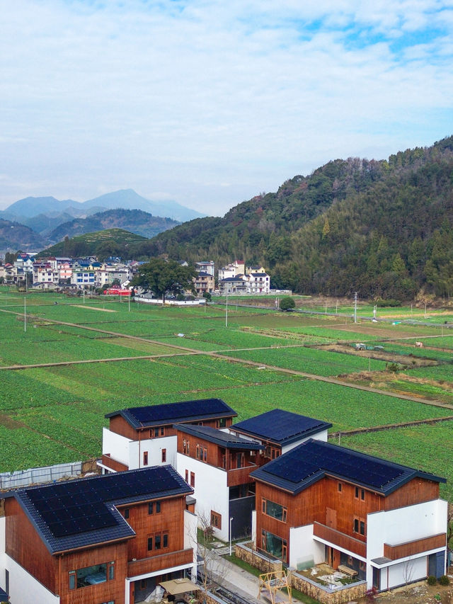 後悔才來，這可能是浙江最被低估的旅行地