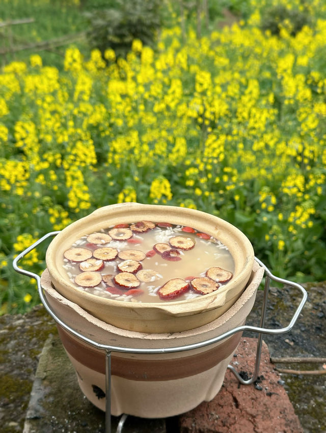 春日浪漫油菜花田，一起來野炊吧！！