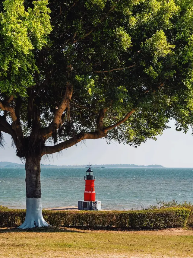 ภูมิแนะนำเส้นทางเดินเล่นที่ชายหาดที่สบายที่สุดในเมืองซีวอล์คซีเมน!