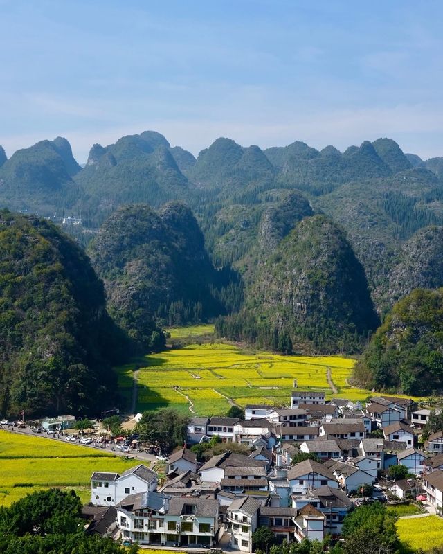 多彩貴州萬峰林萬畝油菜花開辣