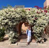 Springtime in Egypt! 