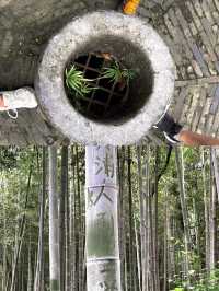 上海天馬山，千年斜塔屹立，此地好風水