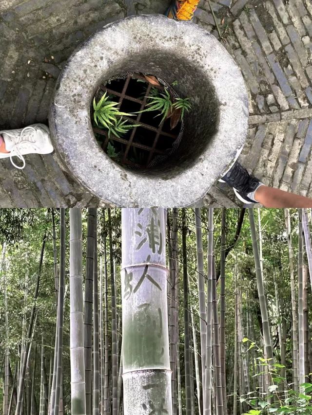 上海天馬山，千年斜塔屹立，此地好風水