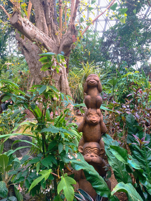 一定要去的植物園
