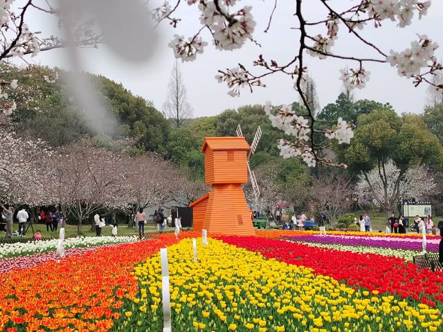 上方山百花節