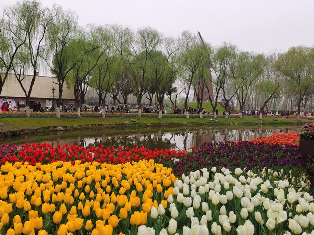 南京綠博園的春天