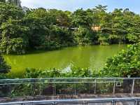 新加坡河川生態園