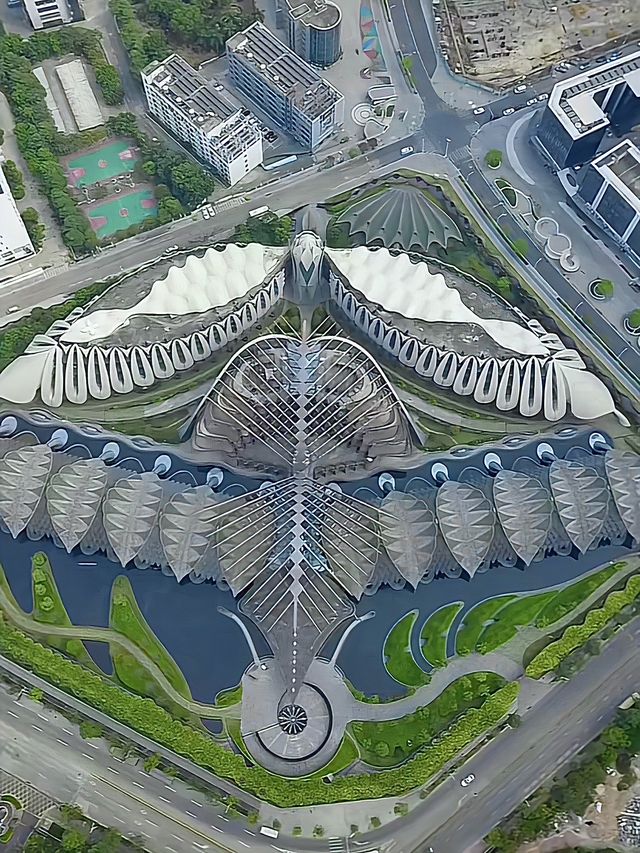 深圳龍華的神秘角落｜耗資10億大廈｜帶你領略建築奇蹟