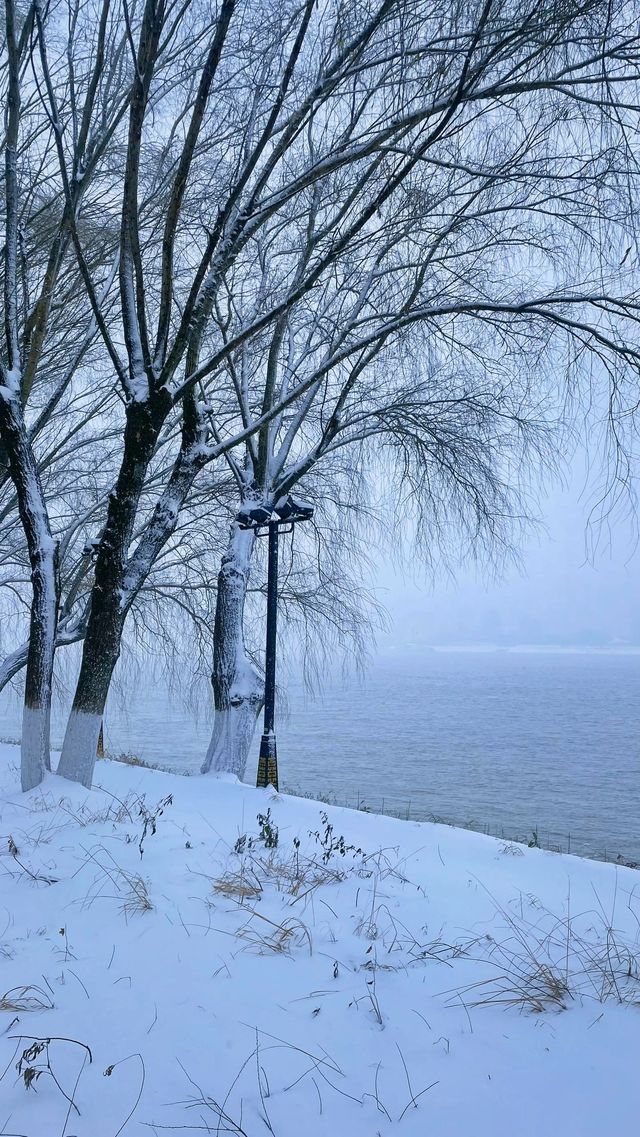 2024年武昌江灘雪景