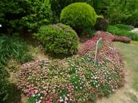 鮮花山谷——登高雲山·雲谷花境
