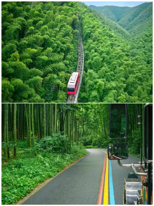 To catch the little train through the bamboo sea, I flew directly to Liyang