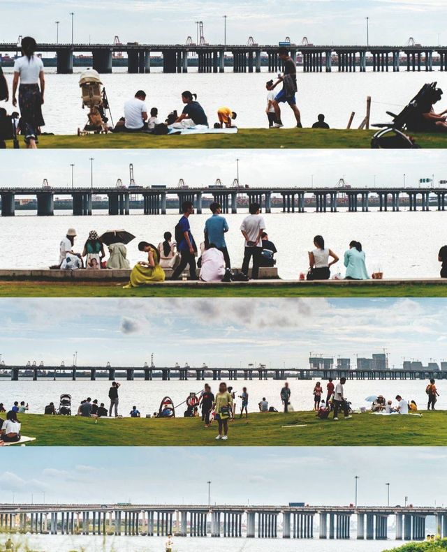 我宣布！這是深圳最美海邊公園