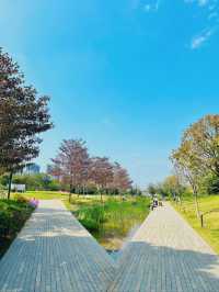 深圳桂灣公園｜城中“水廊道”