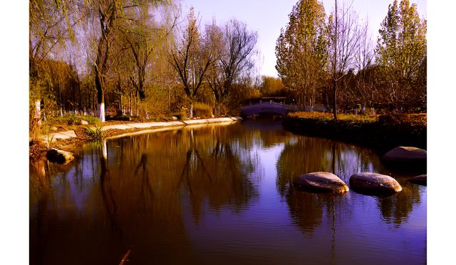 天津津北森林公園