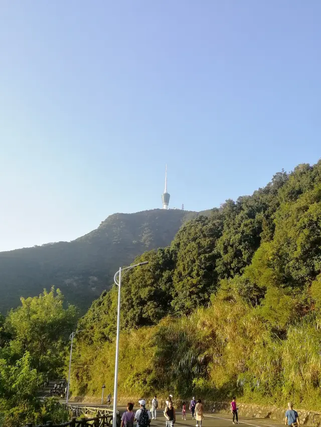 How can one not visit the tallest mountain in Shenzhen?