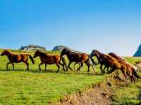 值得去貴州小眾旅遊阿西里西大草原