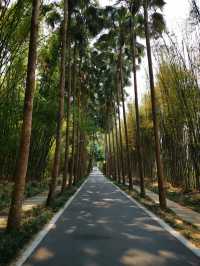 中國科學院西雙版納熱帶植物園