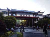 貴州百里杜鵑-大方縣一日遊