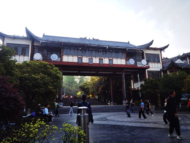 貴州百里杜鵑-大方縣一日遊