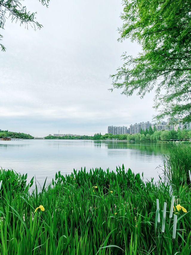 寧波日湖公園，亮點紛呈，值得一去再去