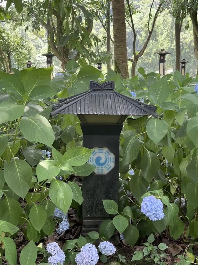 成都仙家重地！見到這隻鶴才算真正去過成都鶴鳴山