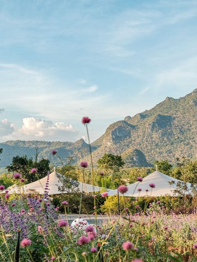 🌴✨ Khao Yai's Glamorous Glamping: A Dreamy Getaway 🏕️🌟