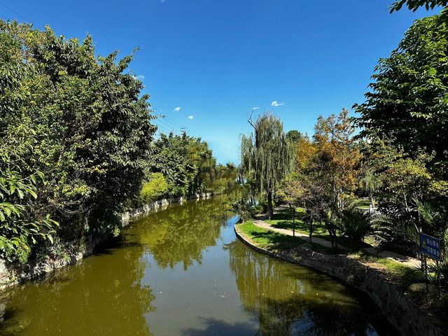 楚雄龍江公園，被睡蓮環繞的休閒好去處