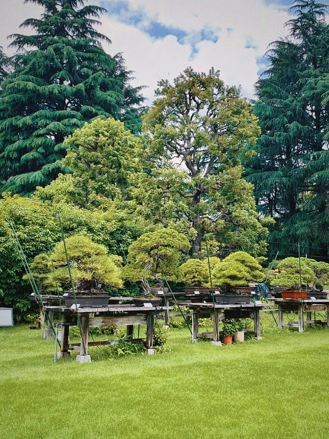 寫給6月要去東京的你！迎賓館赤坂離宮你值得一去！