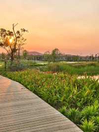 🌟 Nay Pyi Taw's Hilton Haven: Luxe & Serene 🌟