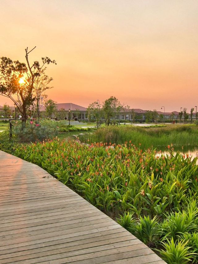 🌟 Nay Pyi Taw's Hilton Haven: Luxe & Serene 🌟