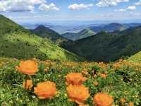 京西高山花海草甸｜夏日小五台·徒步之旅～