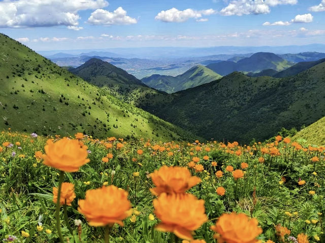 京西高山花海草甸｜夏日小五台·徒步之旅～