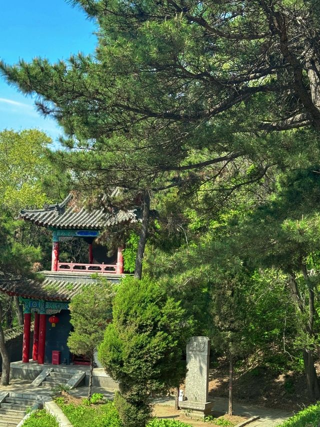 沈陽