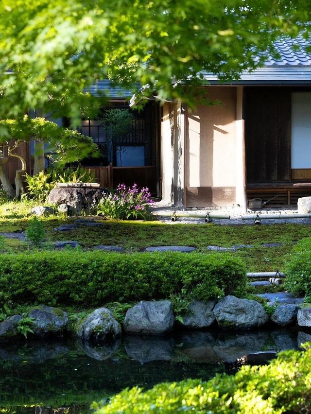 日本豪商宅邸｜如此精美的日式庭院值得一觀