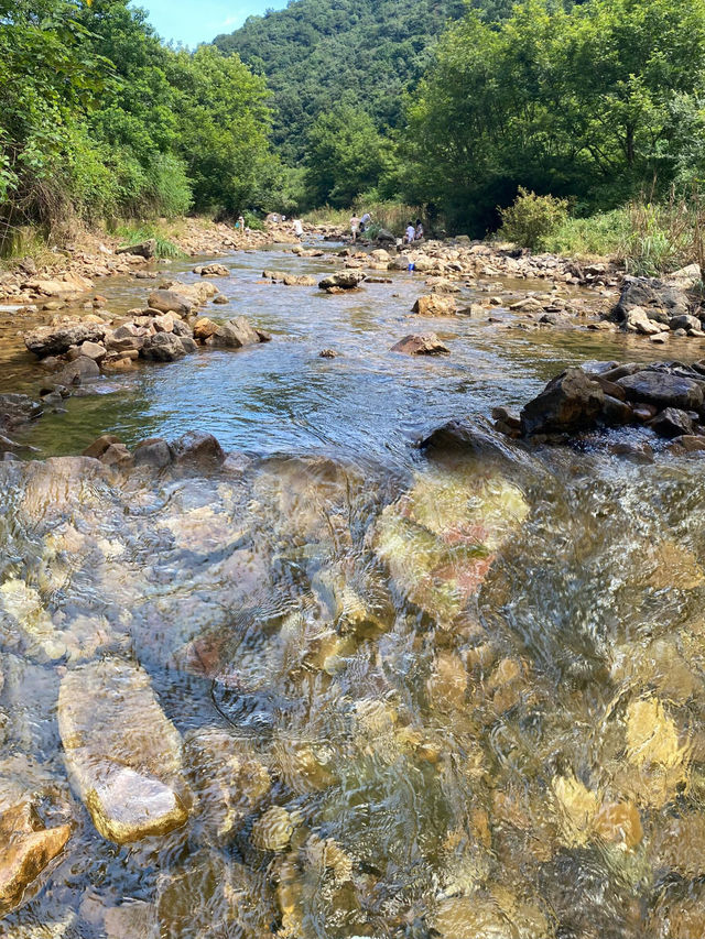 夏天就是要玩水呀人少景美露營地