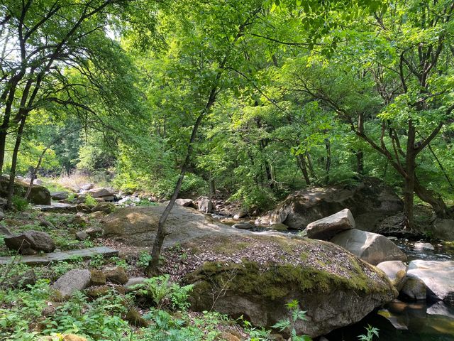 奇景如畫，猴石探秘—撫順猴石國家森林公園旅遊攻略