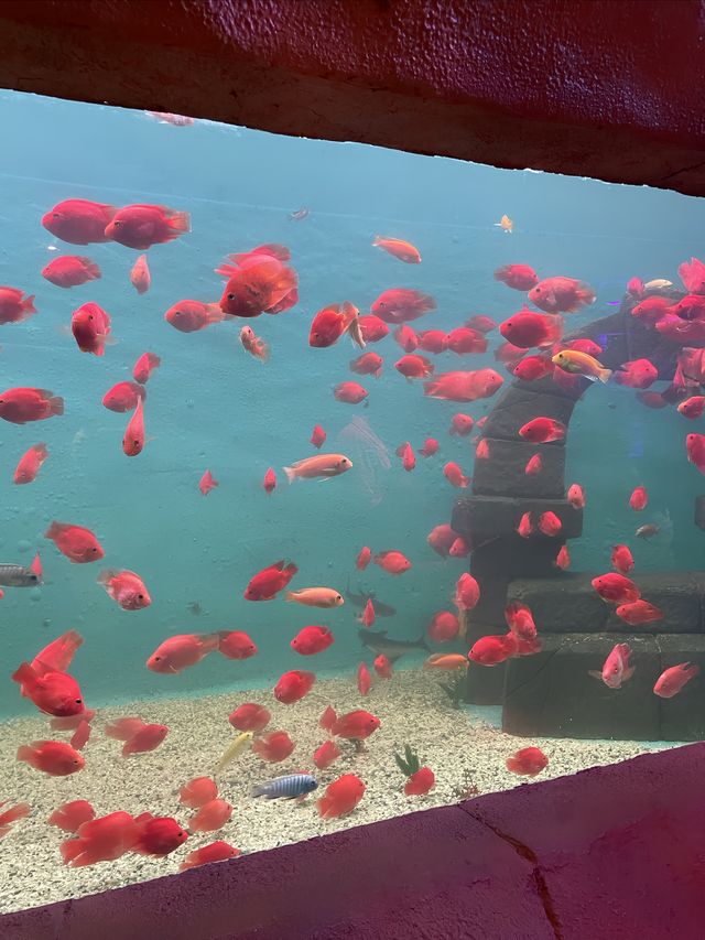 東莞海之韻極地海洋公園