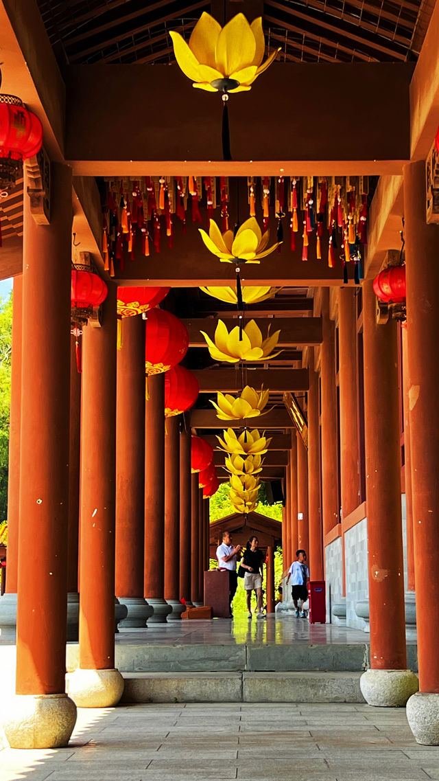 深圳這一寺廟廣結善緣樂善好施，中午管飯（免費）
