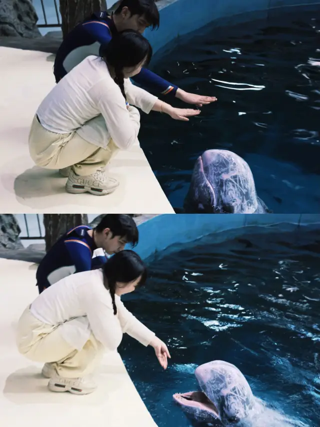 可玩性巨高的酒店 長喬鵜鶘度假酒店！