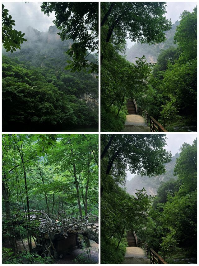 金絲峽大峽谷