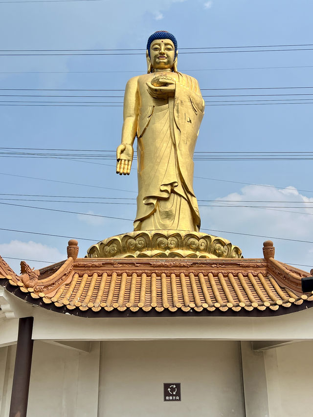 寺廟之旅｜成都白雲寺