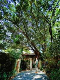 Seek tranquility and escape the summer heat in midsummer, come to Yunfu Xinxing Longshan Hot Spring Hotel!