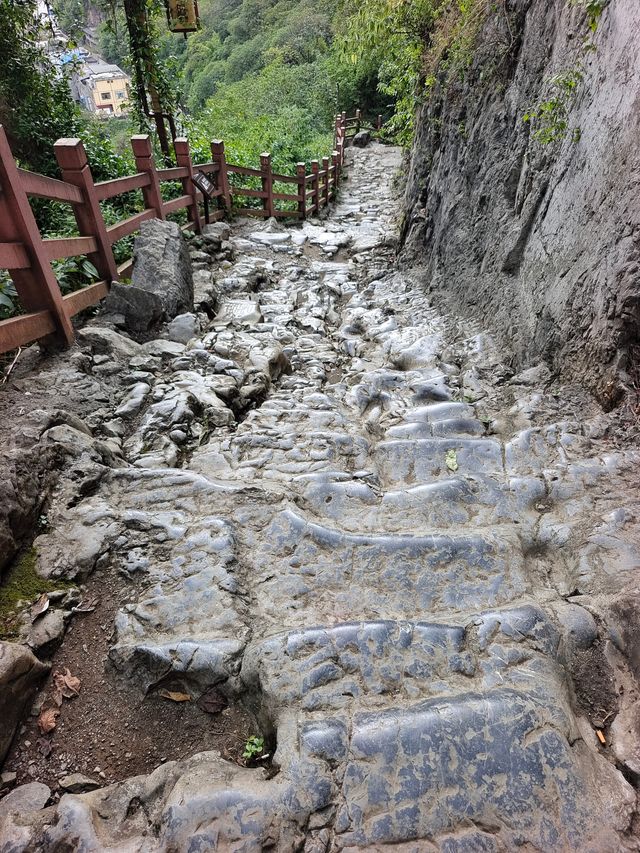 鹽津豆沙關。
