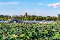 長春北湖濕地公園 -- 國家4A級旅遊景區。