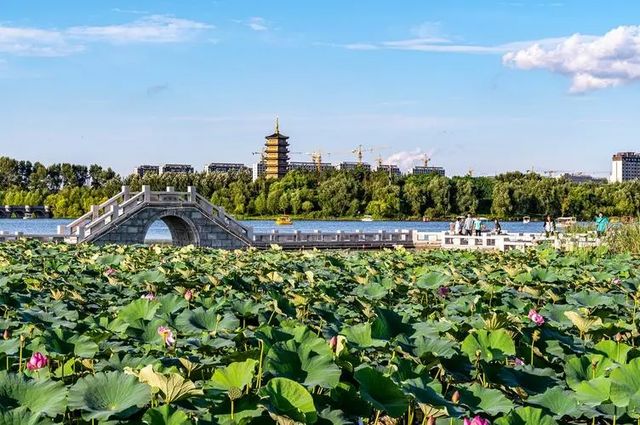 長春北湖濕地公園 -- 國家4A級旅遊景區。