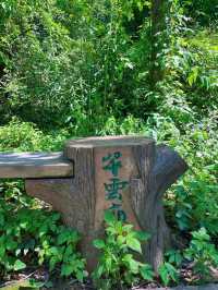 廣元劍閣翠雲廊｜揭秘古蜀道的神秘力量。