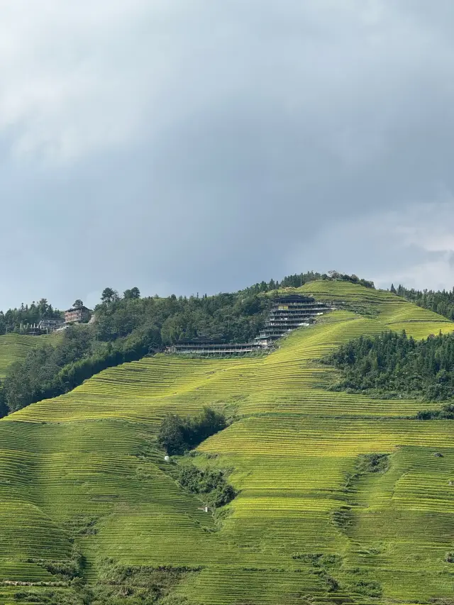 Longji Rice Terraces - a place worth visiting twice.