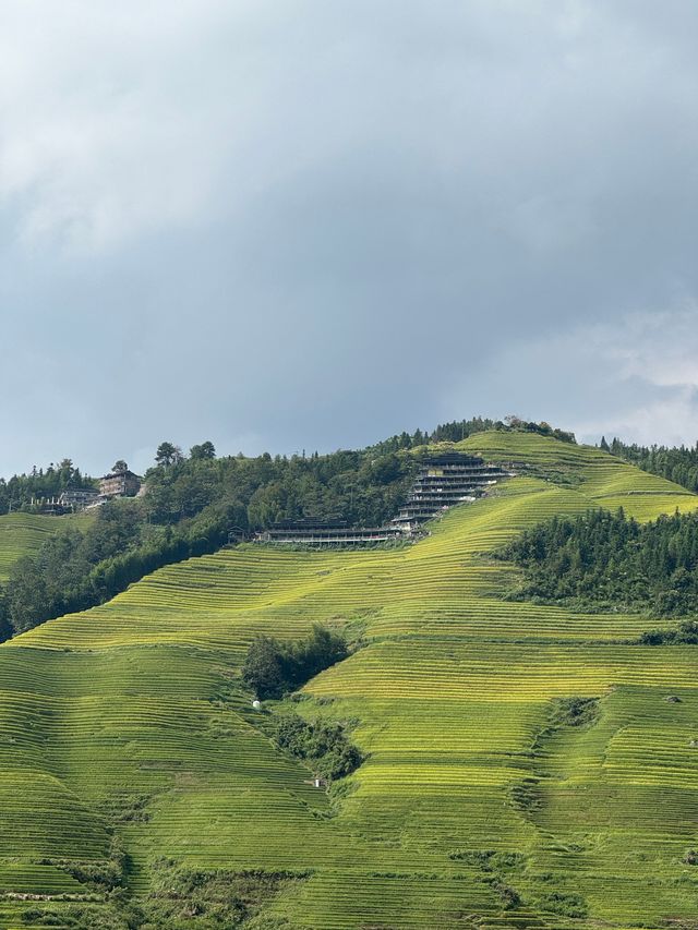 龍脊梯田——一個值得再訪的地方。
